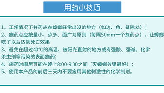 食品工廠如何徹底消滅蟑螂？專家分享實(shí)用方法與運(yùn)營(yíng)策略